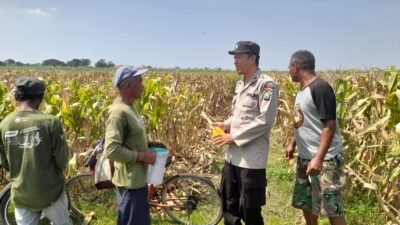 Kapolsek Prambon Masifkan Bhabinkamtibmas Sambang Petani, Guna Dongkrak Swasembada Pangan