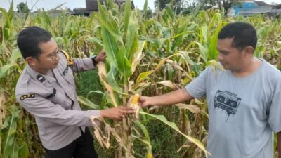 Polsek Prambon Dampingi Petani Guna Sukseskan Program Ketahanan Pangan