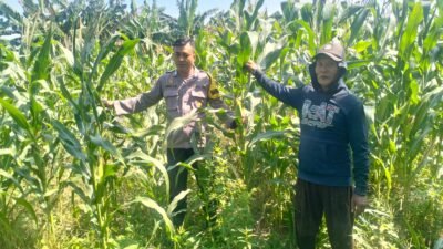 Polsek Gedangan Masifkan Pendampingan Program Swasembada Pangan