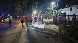 Mengganggu Kabel PLN, Koramil Wonomerto Lakukan Pengamanan Penebangan Dan Pemangkasan Pohon