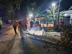Mengganggu Kabel PLN, Koramil Wonomerto Lakukan Pengamanan Penebangan Dan Pemangkasan Pohon