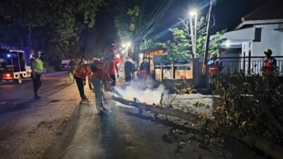Mengganggu Kabel PLN, Koramil Wonomerto Lakukan Pengamanan Penebangan Dan Pemangkasan Pohon