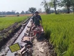 Babinsa Kraton dan Warga Gotong Royong Bangun Selokan, Dukung Kelancaran Pengairan Sawah