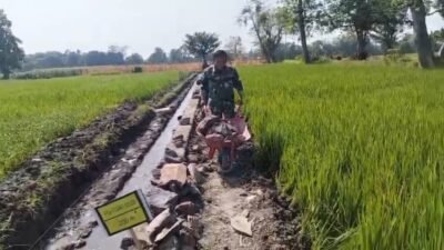 Babinsa Kraton dan Warga Gotong Royong Bangun Selokan, Dukung Kelancaran Pengairan Sawah