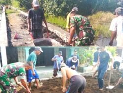 Perkuat Ketahanan Pangan, Babinsa Gunungsari Bersama Masyarakat Benahi Jalan dan Tanggul Persawahan