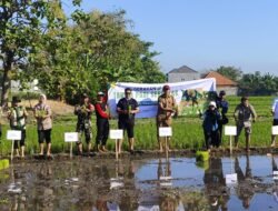 Danramil 0819/25 Gadingrejo Turun Langsung dalam Gerakan Luas Tambah Tanam (LTT) Di Kelurahan Bugul Lor Kota Pasuruan