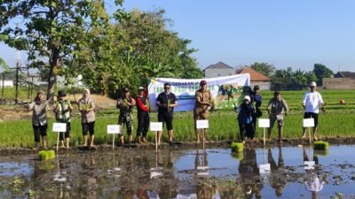 Danramil 0819/25 Gadingrejo Turun Langsung dalam Gerakan Luas Tambah Tanam (LTT) Di Kelurahan Bugul Lor Kota Pasuruan