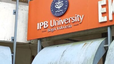 IPB university