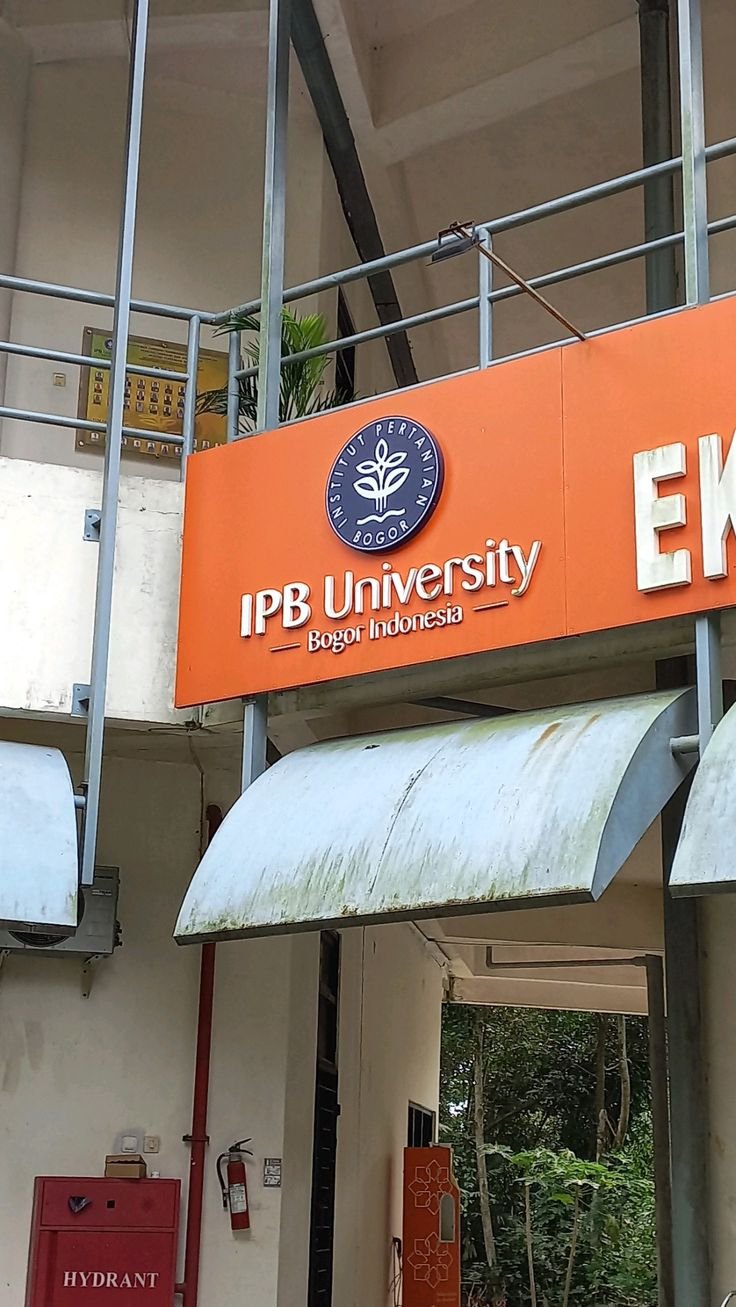 IPB university