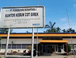 PTPN IV: Gangguan di Cot Girek Gerus Pendapatan Ribuan Pekerja, Kerugian Tembus Rp 62,6 Miliar