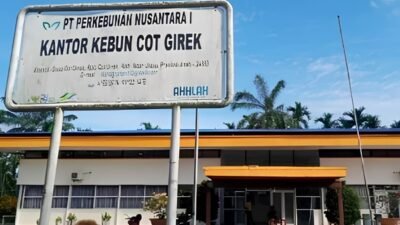 PTPN IV: Gangguan di Cot Girek Gerus Pendapatan Ribuan Pekerja, Kerugian Tembus Rp 62,6 Miliar