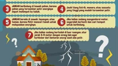 Petir