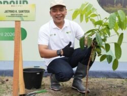 Peduli Lingkungan, PTPN IV PalmCo Tanam 76.555 Pohon dalam Tiga Tahun