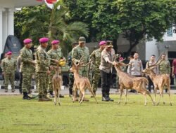 Kapolda Metro Jaya dan Pangdam Jaya Perkuat Sinergi dengan Korps Marinir