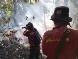 Kebakaran Hutan dan Lahan 10,5 hektare di Aceh Dipadamkan Tim Manggala Agni