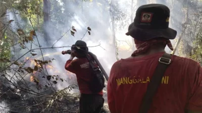 Karhutla Aceh