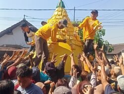Ribuan Warga Berebut Gunungan Tumpeng Tahu dalam Tradisi Sedekah Bumi Toyoresmi