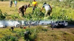 Sinergi TNI, Polri dan Warga Warnai Kerja Bakti Massal di Lapangan Jatirejo Lekok