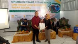 Nanas Lereng