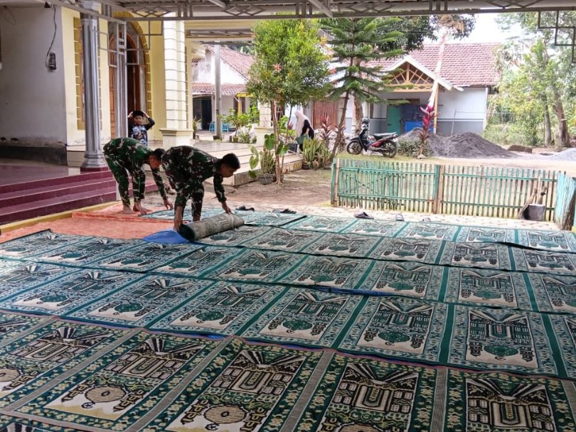 Tmmd