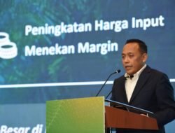 PalmCo Dorong Produktivitas Sawit untuk Dukung B50 dan Jaga Pasokan Ekspor