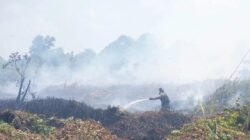 Dampak Karhutla di Kalbar Ancam Pusat Rehabilitasi Orangutan