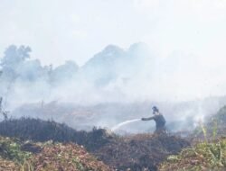 Dampak Karhutla di Kalbar Ancam Pusat Rehabilitasi Orangutan