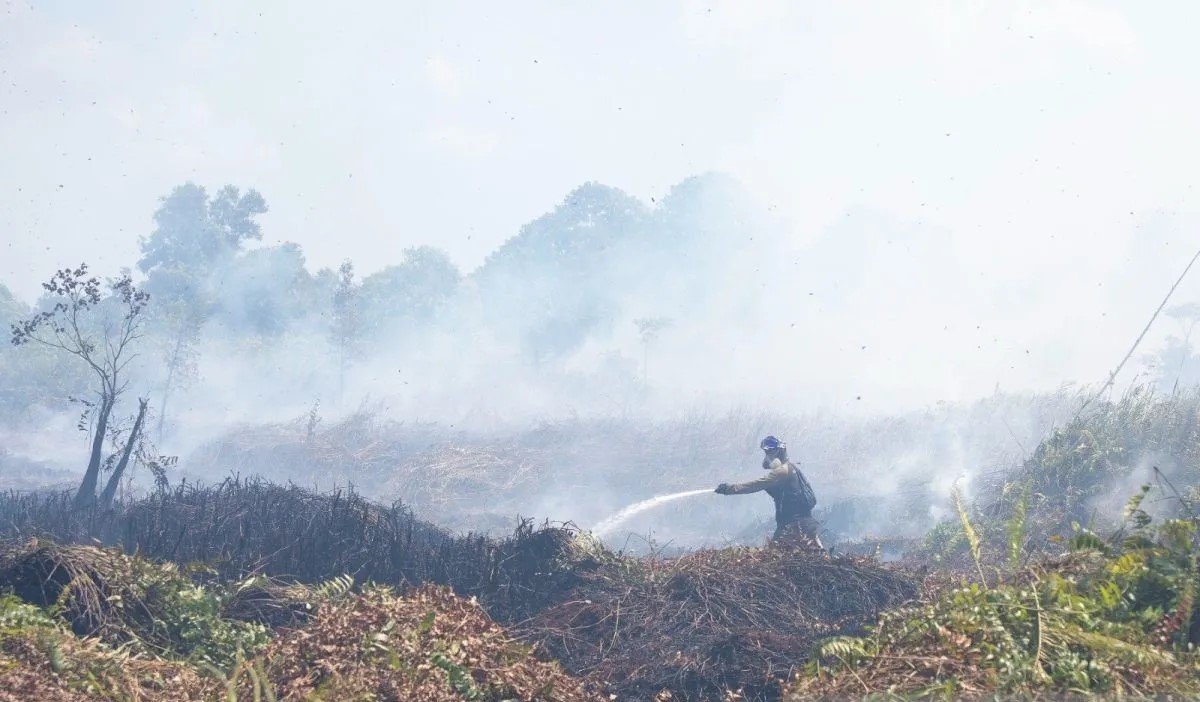 Dampak Karhutla di Kalbar Ancam Pusat Rehabilitasi Orangutan