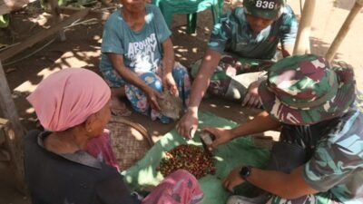Satgas TMMD Ke-129 Turun Tangan Bantu Petani Olah Panen Kopi