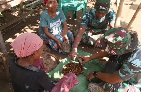 Satgas TMMD Ke-129 Turun Tangan Bantu Petani Olah Panen Kopi