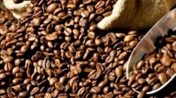 Bappebti Lepas Ekspor 38,4 Ton Kopi ke China dan Maroko, Nilainya Capai Rp 4,08 Miliar