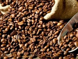 Bappebti Lepas Ekspor 38,4 Ton Kopi ke China dan Maroko, Nilainya Capai Rp 4,08 Miliar