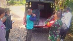 lutung jawa