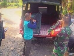 Lutung Jawa Dipelihara Warga di Bondowoso Dievakuasi BBKSDA Jatim