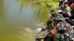 TMMD Bojonegoro Tebar 11.000 Benih Ikan di Embung Desa