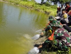 TMMD Bojonegoro Tebar 11.000 Benih Ikan di Embung Desa