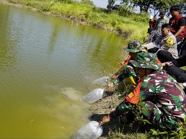 TMMD Bojonegoro Tebar 11.000 Benih Ikan di Embung Desa