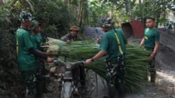 Satgas TMMD Bantu Warga Angkut Pakan Ternak di Lumajang