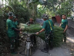 Satgas TMMD Bantu Warga Angkut Pakan Ternak di Lumajang