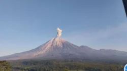 semeru erupsi