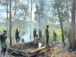 Karhutla di Sorong-Papua Barat Daya Masih Terjadi, BNPB: Api Terus Dipadamkam