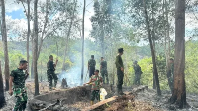 Karhutla di Sorong-Papua Barat Daya Masih Terjadi, BNPB: Api Terus Dipadamkam