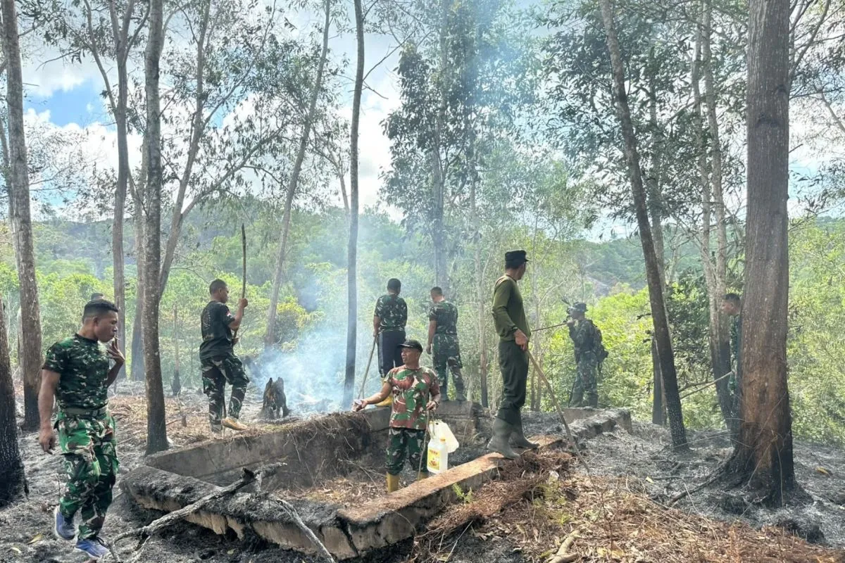 karhutla sorong