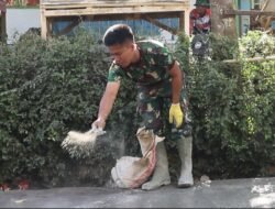 Satgas TMMD Ke-129 Kodim Lumajang Optimalkan Finishing Rabat Jalan 