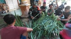 Satgas TMMD Ke-129 Kodim 0821/Lumajang Bantu Warga Siapkan Pakan Ternak