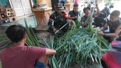 Satgas TMMD Ke-129 Kodim 0821/Lumajang Bantu Warga Siapkan Pakan Ternak