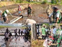 Teknologi PMAAS Percepat Tanam Padi di Pandaan