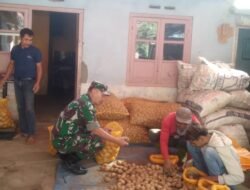Babinsa Ngadirejo Perkuat Sinergi Petani dan Pedagang