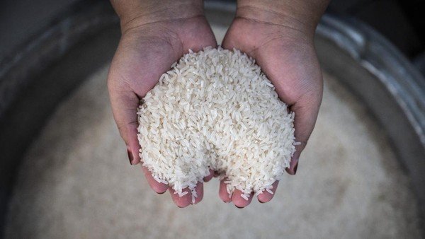 Bapanas Pastikan Beras Premium Tidak Langka