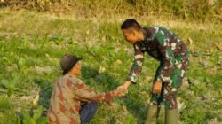 Bojonegoro